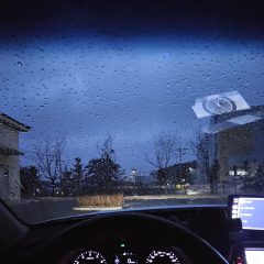 밀집 주차장에 성공했어요!