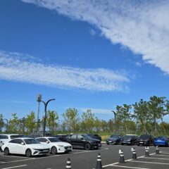 맞춤형 연수 너무 좋아요