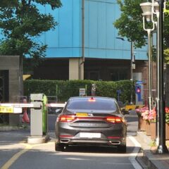 야간 운전 진짜 무서웠어요