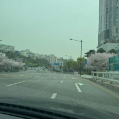 긴급 상황 대처 연습