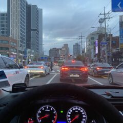 안전 팁 많이 알려줘요