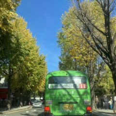 긴급 제동 연습 쑥스러웠어요
