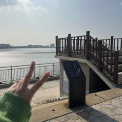 5년 장롱면허 끝내고 드라이빙 떠올라요!