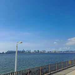 다중 주차장 경험