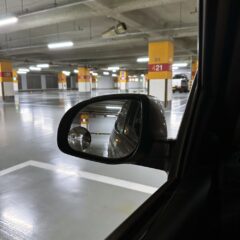 동료와 함께 타는 차 운전